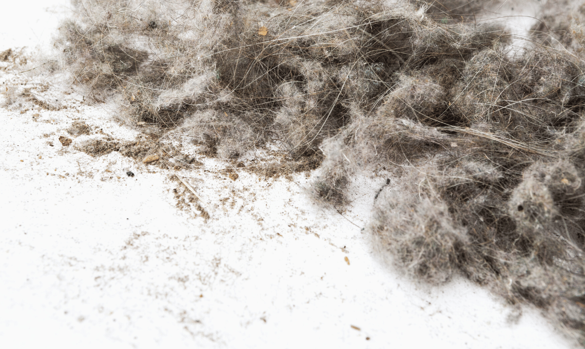 How to get rid of all the dust in my home? TruAQ